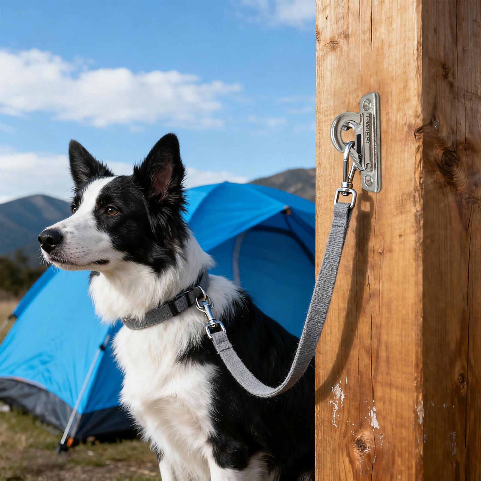 Dog Leashes Holder for Wall Pe - Security Chain Door บทวิจารณ์และราคา